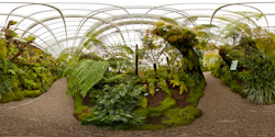 Botanischer Garten